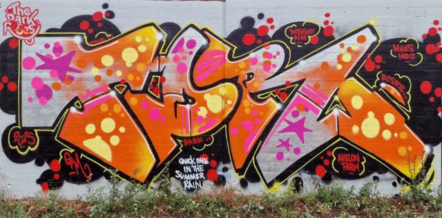 ★ TDR ★ Quick One In The Summer Rain... DOGGiE, Aim, Avelon, Farm, Miles and Noiz by Gem 1 - The Dark Roses - Albertslund, Denmark 7. June 2025